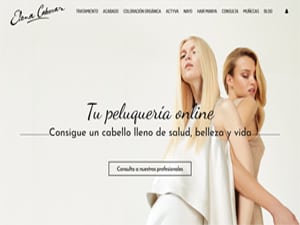 Diseño de tienda online Valladolid
